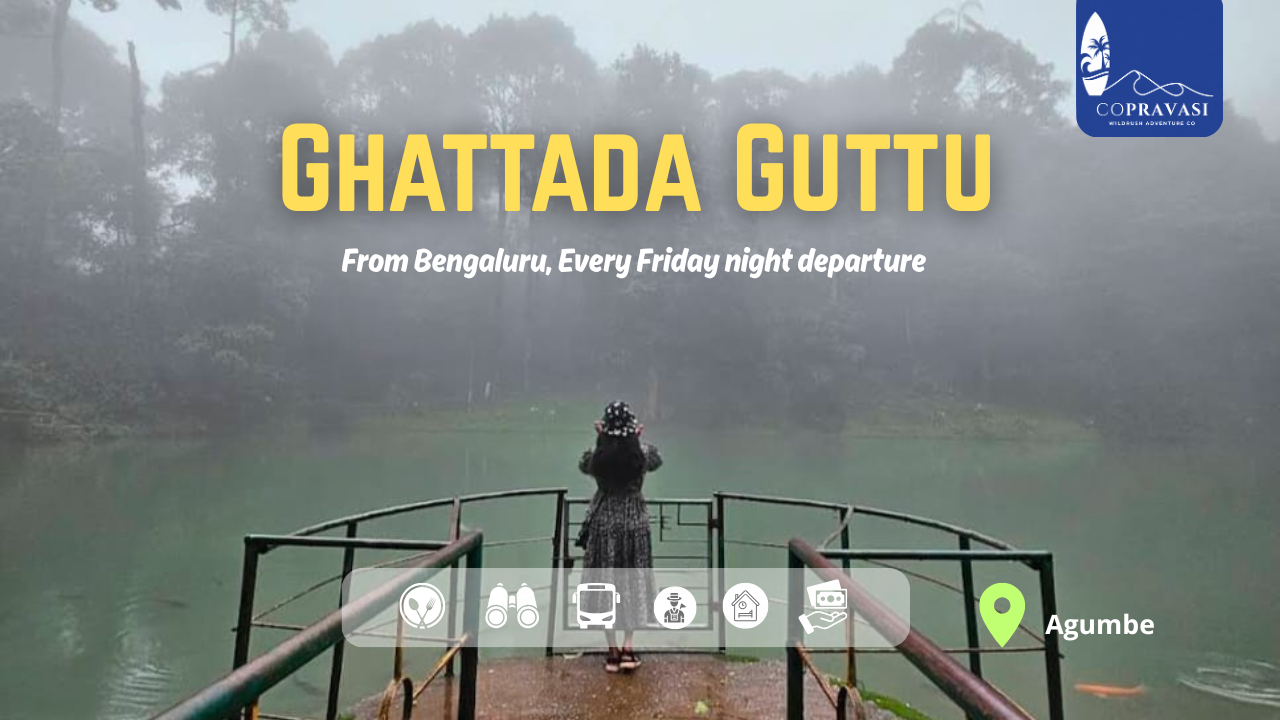 Ghattada Gudda Agumbe Trek | 2-Day Western Ghats Trip from Bengaluru trek package